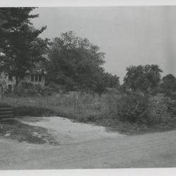 29-0060