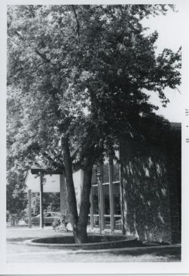 29-0236