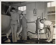Inspection of Pasteurizing Plant