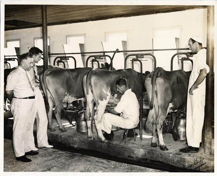 Inspection of Barn at Dairy Farm