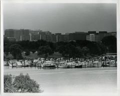 214-9294