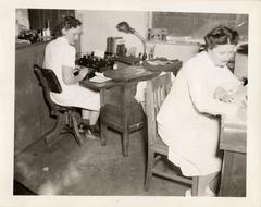Clerks working at County Laboratory Office