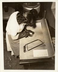 Dissection of Dog Head, 1943