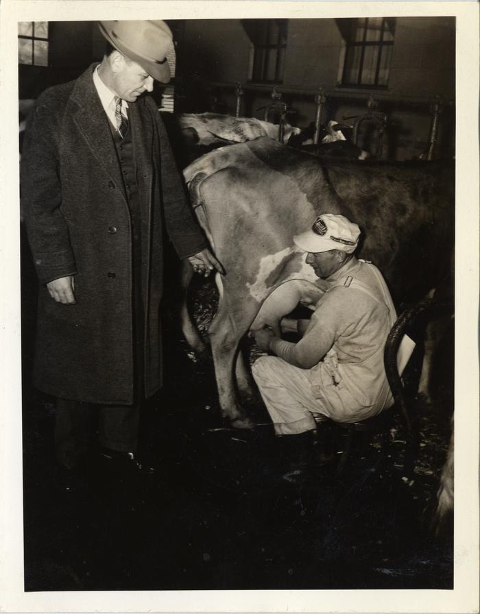 Inspecting Milking Method, 1943