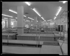 Interior of Hecht's