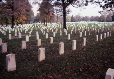 Headstones of Arlington Cemetery