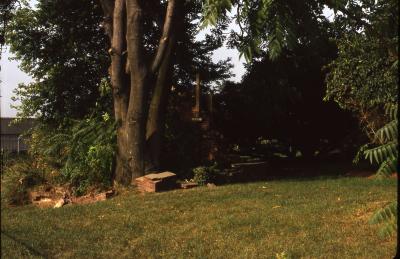 Abingdon Plantain Ruins