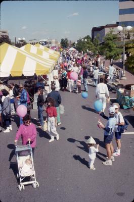 Festival in Clarendon