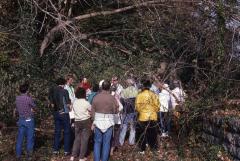 Chain Bridge Tour Group