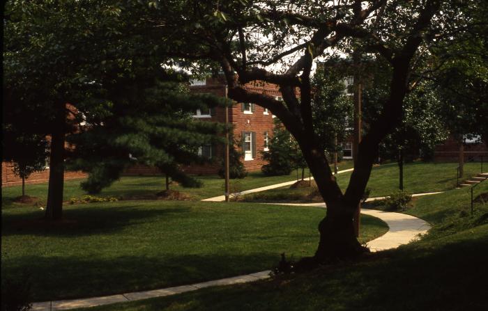 Colonial Village Walking Path