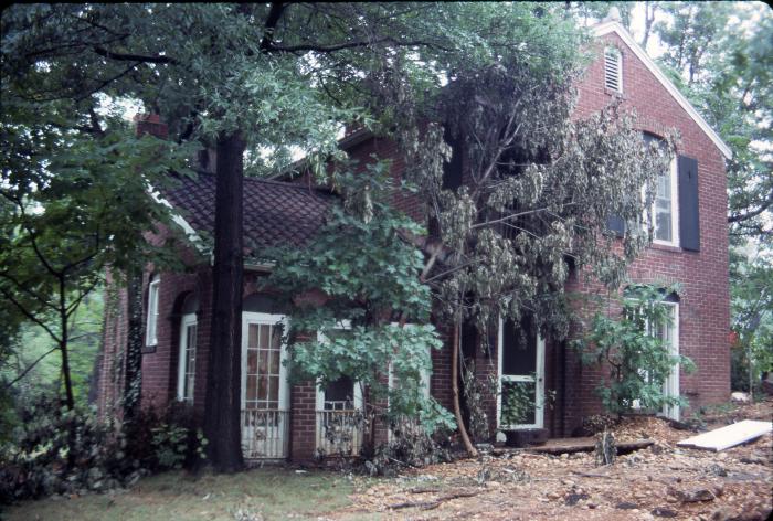 Overgrown Brick Home