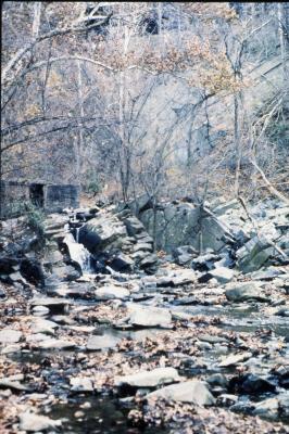 Pimmit Run at Chain Bridge