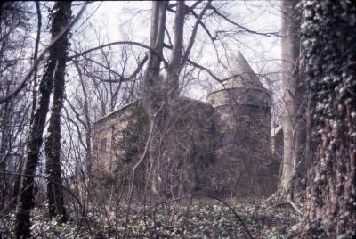 Bay Eva Castle Through the Woods (alternate)