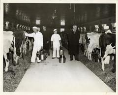 Dairy Inspection, 1942