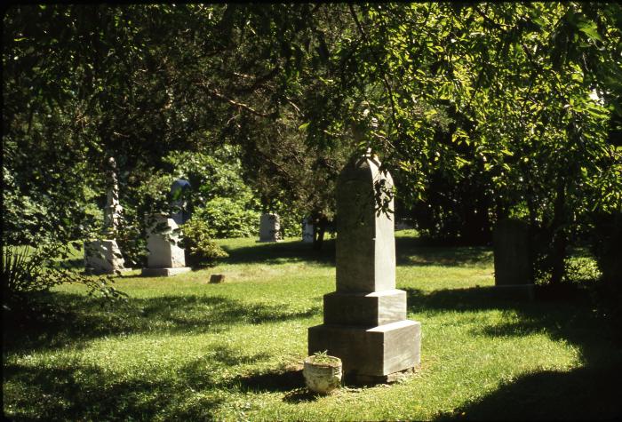 Walker Chapel Headstones