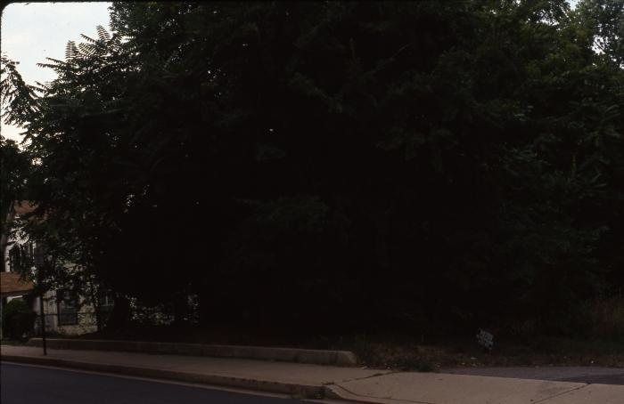 Traver's Graveyard Street View