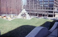 Relaxing at Annie's Park