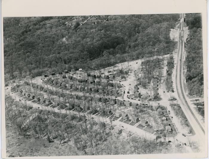 Aerial Shot of Arlington Forest