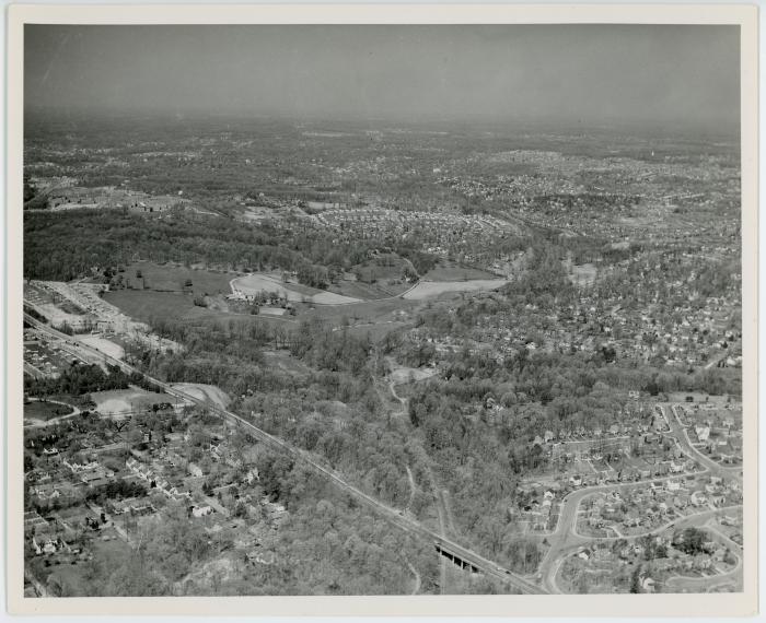 Aerial Shot of Arlington Forest