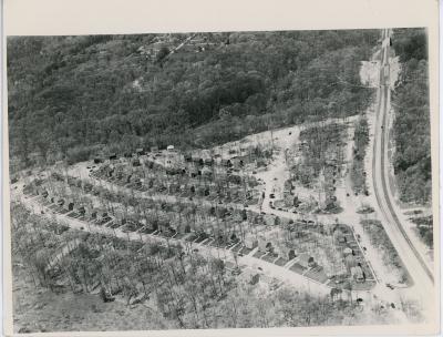 Aerial Shot of Arlington Forest