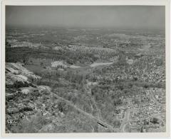 Aerial Shot of Arlington Forest