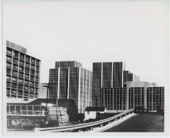 Rosslyn Lumber and Skyscrapers