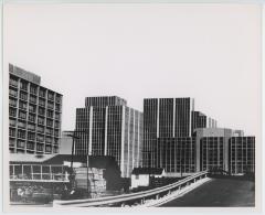 Rosslyn Lumber and Skyscrapers