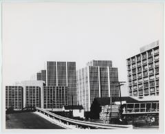 Rosslyn Lumber and Skyscrapers