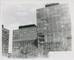 Rosslyn Skyscrapers