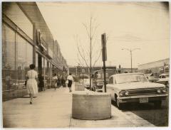 Women Walking Down Campbell Ave