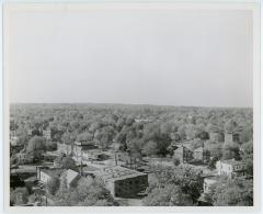 Nellie (Nelly) Custis North