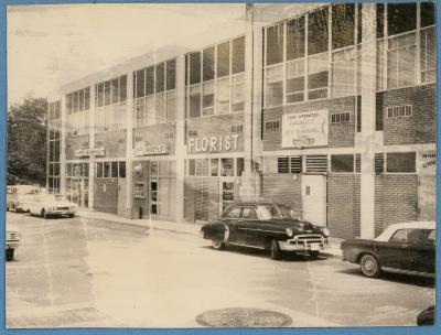 Haircuts, Flowers, Laundry