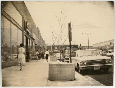 Women Walking Down Campbell Ave