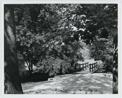 Lubber Run Park Bridge