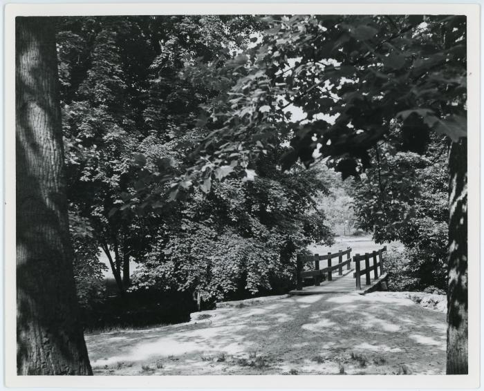 Lubber Run Park Bridge