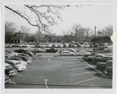 Cars in Parking Lot