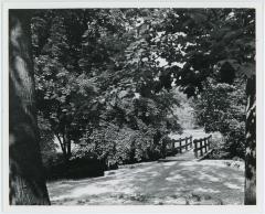 Lubber Run Park Bridge