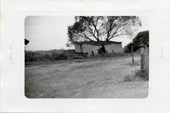 Farm Yard at Rose Hill Farm Dairy, 1942