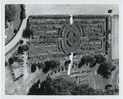 Aerial View of Garden
