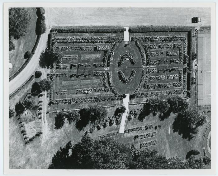 Aerial View of Garden