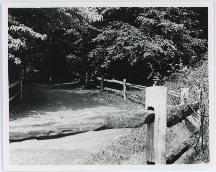 Glencarlyn Park Trail
