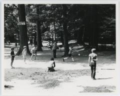 Playing Ball at Glencarlyn Park