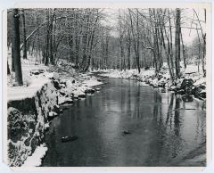 River in Snowy Forest