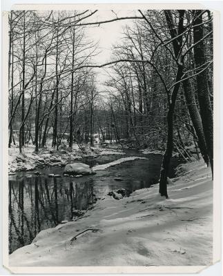 River in Snowy Forest