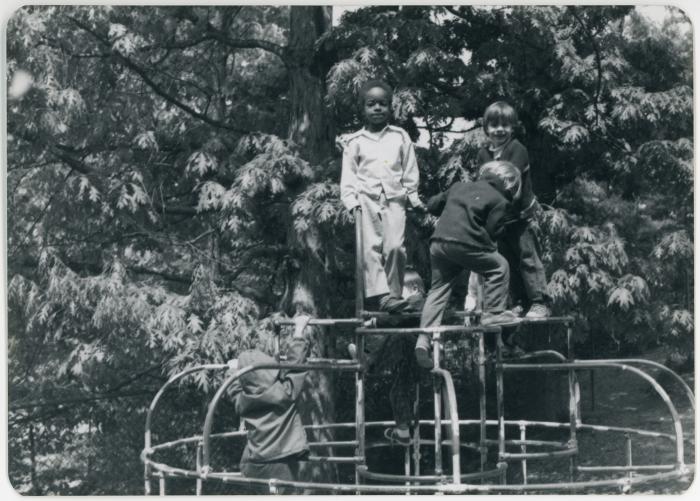 Children on a Climbing Structure