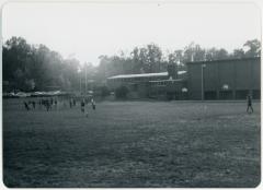 Children Playing in a Field