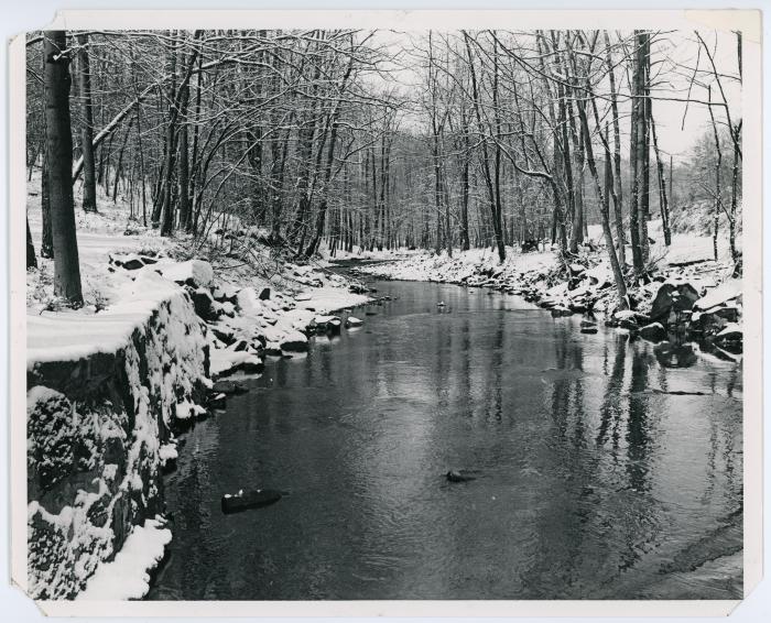 River in Snowy Forest