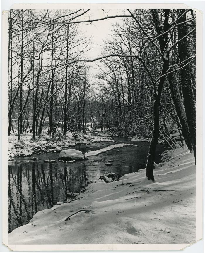 River in Snowy Forest