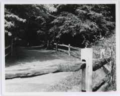 Glencarlyn Park Trail