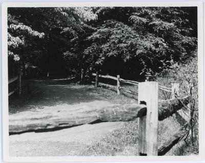 Glencarlyn Park Trail